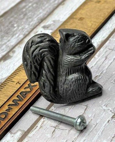 ee5011squirel-2