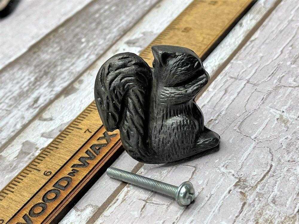 ee5011squirel-2